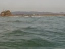 Go Seak Kayak Byron Bay Playful dolphins July 15
