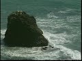 The 