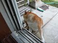 青春の終わりに