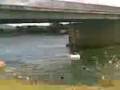 videos de Ace