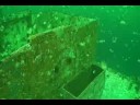 USS Oriskany Adventure 2008