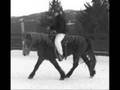 videos de Life with horses