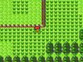 レベル255のポケモン＆それを使ったバグ
