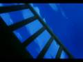 ♫LouisexSaito~ Vulnerable [ beta ]♫