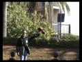 Falchi falcons club comiso.WMV