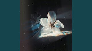 Epstein Fuck Niggas (EFN)