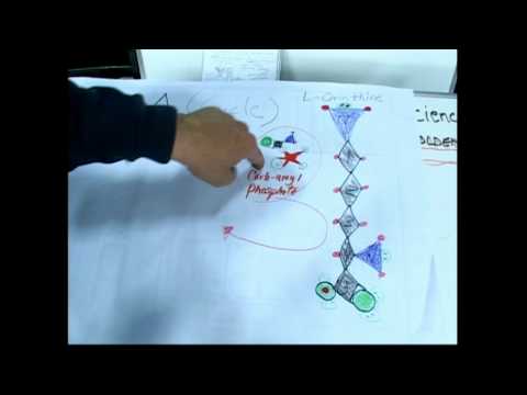 how to dissolve fumaric acid