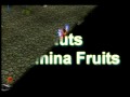 Mu Online - Nuts MuDatenet