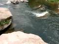 Colorado Flyfishing - July 2008