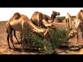 SOMALILAND TRIP 2010