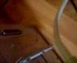 Modem sound