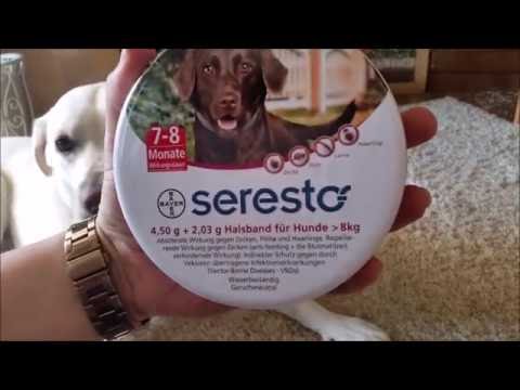 Seresto Zeckenhalsband + Zoo&Co Haul