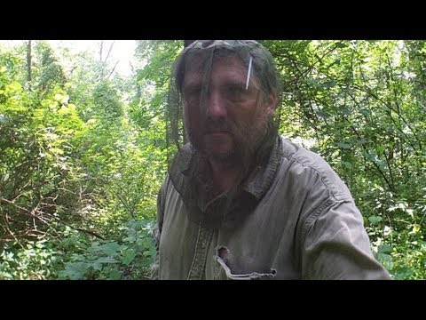 how to fertilize herbs naturally