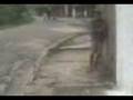 videos de bonde dos mlq stifiler : jackass pat 3