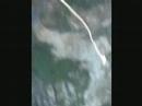 Goldeneye Bungy Jump