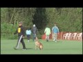 2009 AWMA Nationals/John Soares and Vion/Obedience