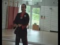 Hyong: Hwa-Rang performed by Grandmaster M. Wafa