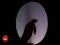 Wonderful World - Tripoli Funniest Video's