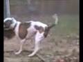 videos de Tommy again
