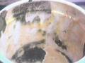 Mouldy yoghurt animation