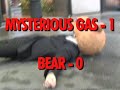 Teddybears vs. Mysterious Gas Leak Teddybears vs. Mysterious Gas Leak