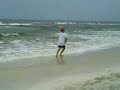 Sand Piper