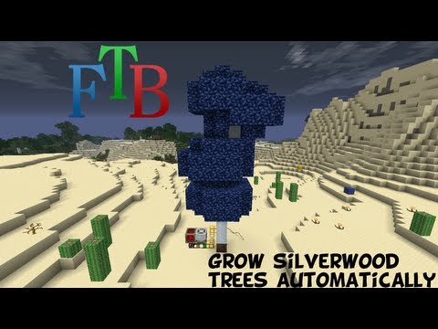 how to harvest shimmerleaf