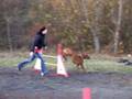 Aengus-agility