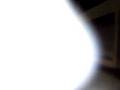 videos de Pascal 1.3gp