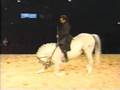 Caballo de alta escuela