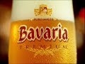 Bavaria Premium (Receita, Malte, L�pulo, �gua)