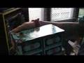 Len TV: Coffin Road Trip