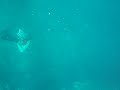 Immersione in Apnea Santa Caterina, Lecce, Salento, Fasix Immersione in Apnea Santa Caterina, Lecce, Salento, Fasix