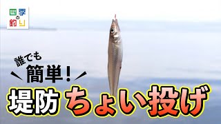 沖堤防は魚種豊富！手軽に釣りを楽しもう！（四季の釣り/2025年7月25日放送）