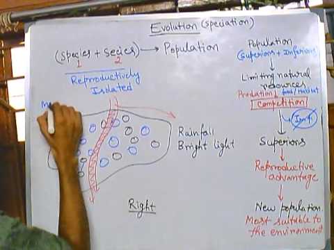 how to isolate dissimilar metals
