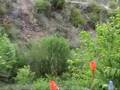 Cusco Natural (Segment 2)