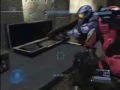 Cobra Quest