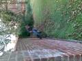 videos de Wall ride