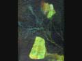 videos de Bon Tan Sui 
