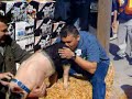 Perhaps we, as a species, deserve #swineflu: http://bit.ly/qG5Rd