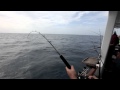 NEW VIDEO: Bottom fishing with bait