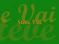 Yngwie Malmsteen vs. Steve Vai