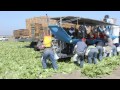 How Has Agriculture Changed Over Time?