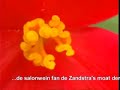 Hea: Foekje wol net ferh�zje