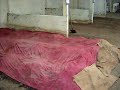 Industri Asas Tani Sarjani - Kilang Baja Organik E.M Mas Hitam Vol 6