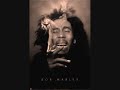 Bob Marley Iron Lion Zion