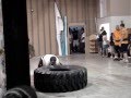 videos de Strongest Man in the Valley