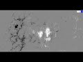 Giant Trilobite Sunspot