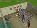 videos de Roadra