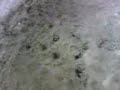 la NEVE a milano pt.2